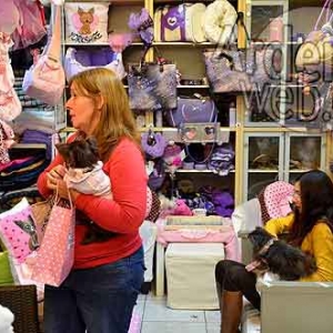 Flamand et wallon - 721 Flamand et wallon - 721