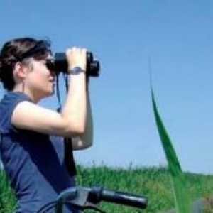  La formation ornitho redémarre en septembre !  A Ath, Bon-Secours, Ciney, Neufchâteau et Bruxelles