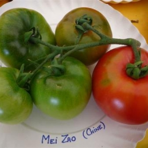 Fourons: fete de la tomate