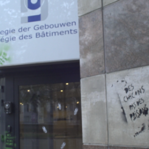 Les lapinoux du Keelbeek. Maxi prison de Haren