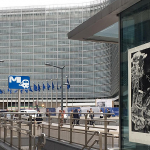 Biennale de l’Image Possible, BIP2020. Les_7_peches_du_capitalisme-Orgueil__63-100-xylographie-Commission_Europeenne Biennale de l’Image Possible, BIP2020. Les_7_peches_du_capitalisme-Orgueil__63-100-xylographie-Commission_Europeenne