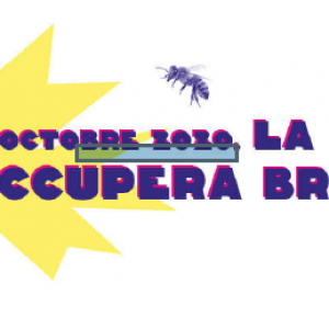 La journée mondiale de lutte contre la pauvreté en Belgique La journée mondiale de lutte contre la pauvreté en Belgique