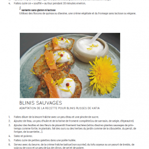 Nos plantes sauvages  Comment les récolter, les cuisiner et les utiliser en remèdes 