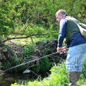 Concours de pêche à la truite sur la Wiltz