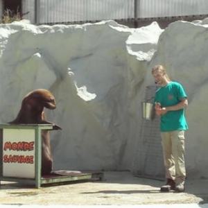 monde sauvage attraction 2007-video11 monde sauvage attraction 2007-video11