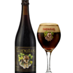 Lupulus brune Brasserie Lupulus Lupulus brune Brasserie Lupulus