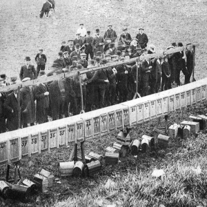 une chanterie de Coqs. une chanterie de Coqs.