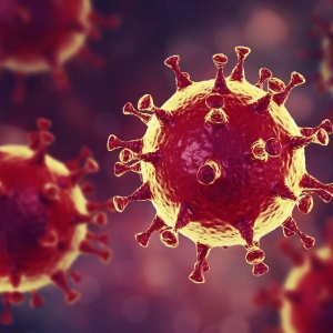 le coronavirus, le confinement et les futurs vaccins.