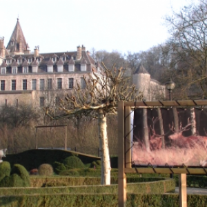  video, exposition Grandeur Nature 