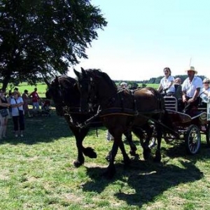 Tavigny : Fete du Cheval 2007-photo3755