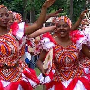 FETE des Myrtilles de Vielsalm 2012_ video 3