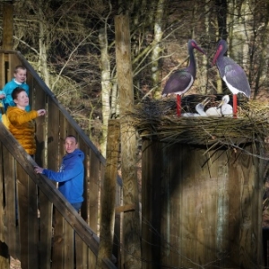 Parcours de decouverte dans la cime des arbres Parcours de decouverte dans la cime des arbres