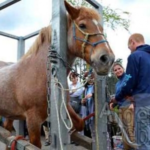 AGRI-MUSEE de Rochehaut