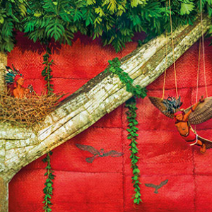 Patrick Willocq Patrick Willocq