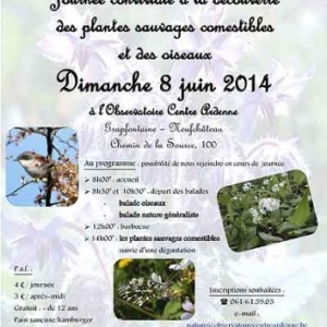 Les plantes sauvages comestibles Les plantes sauvages comestibles