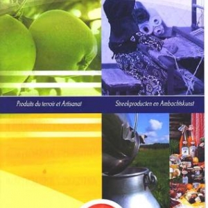 brochure brochure