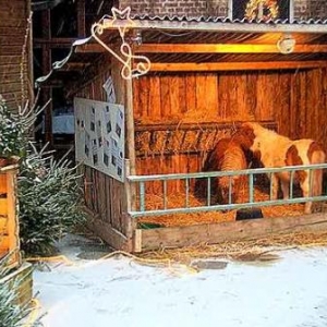 ferme de Noel