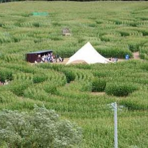Labyrinthe de Barvaux sur Ourthe - 9856