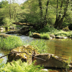  Ecole communale de Malmedy. Saumons en classe 