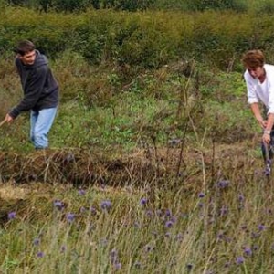 Chantier, gestion,reserve ,naturelle, Marbay