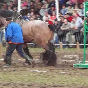 Foire de Libramont 2007-video 02