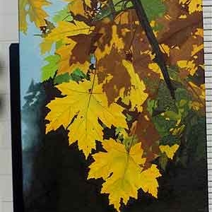 Ameel Arthur Ameel Arthur