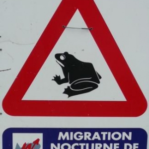 Panneau routier signalant le danger