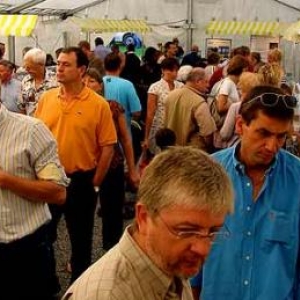 fete du fromage au chateau de Harze