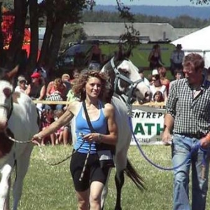 Fete du Cheval 2007-video 08