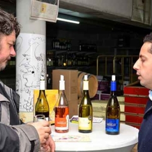 Degustation gratuite de vin-7249