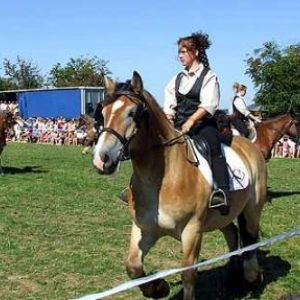 Tavigny : Fete du Cheval 2007-photo3860