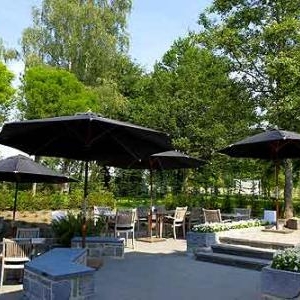 Le bel ete du Coq aux Champs