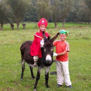 Aiseau le village de Saint-Nicolas