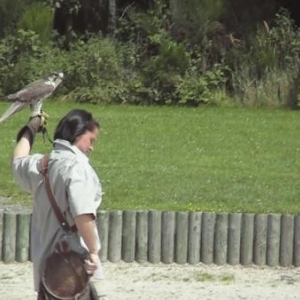 monde sauvage attraction 2007-video13 monde sauvage attraction 2007-video13