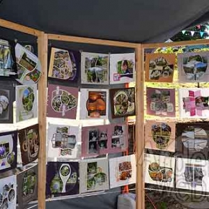 Automne en FETE Neuville Vielsalm-1663