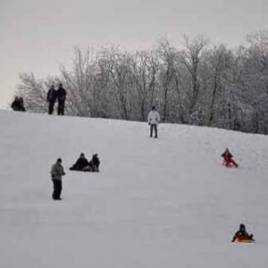 Ski action en ardenne - photo 01