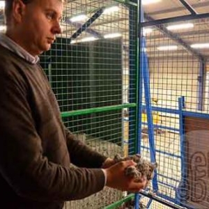 trois robots de Mobic-7161 trois robots de Mobic-7161