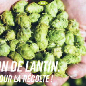 houblon local et bio