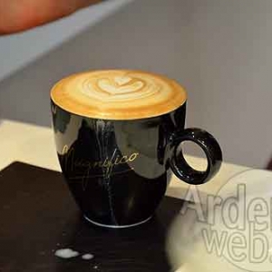 Gerard Meylaers -2170 Gerard Meylaers -2170