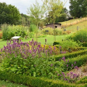Le 2ème Rendez-vous gallo-romain de l'été "Vivre au grand air" Le 2ème Rendez-vous gallo-romain de l'été "Vivre au grand air"