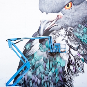   Adele Renault  peint un pigeon à Liège