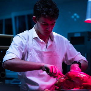 Poulet Bio, la Rolls-Royce des poulets industriels.