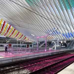 daniel buren | liège-guillemins