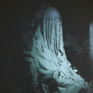 LHOEST Eva (BE), Under Automata, 2017, Vidéo, 5’11 © Alain Janssens