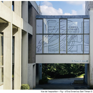 Eva Evrard au Musée d’art contemporain du Sart Tilman