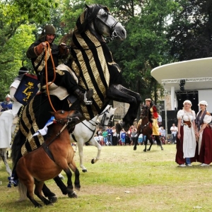 Fete des Myrtilles de Vielsalm