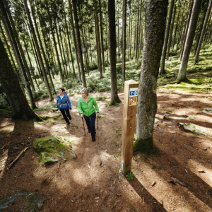 Randonner en suivant les points-nœuds : tout ce qu’il faut savoir