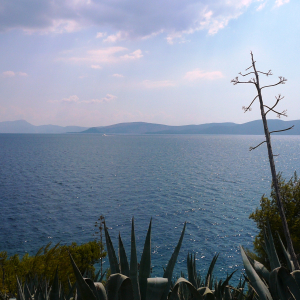 Les environs d'Ermioni ( photo : F. Detry ) Les environs d'Ermioni ( photo : F. Detry )