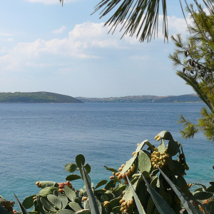 Les environs d'Ermioni ( photo : F. Detry ) Les environs d'Ermioni ( photo : F. Detry )