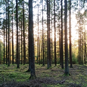 W 14 « Le tour des Hauts Sarts » W 14 « Le tour des Hauts Sarts »